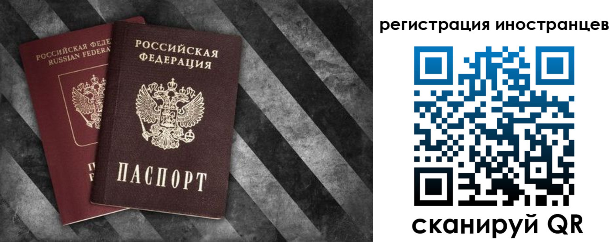 прописка для школы в Белой Калитве
